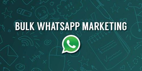 Bulk Whatsapp